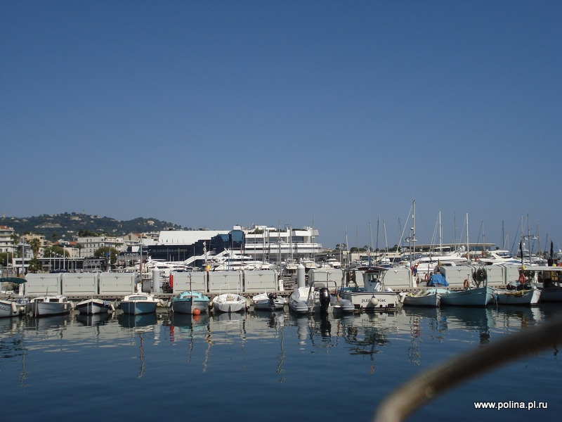 Palace of festival, Cannes Cinema Festival,   ,  ,  -- 