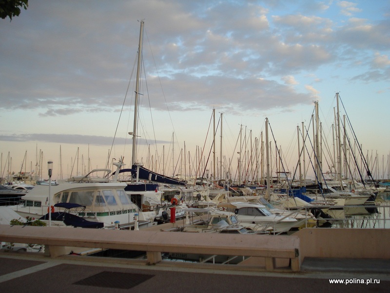   , , .   , . Palais de Festivals, Cannes Film Festival,  ,  ,  ,  